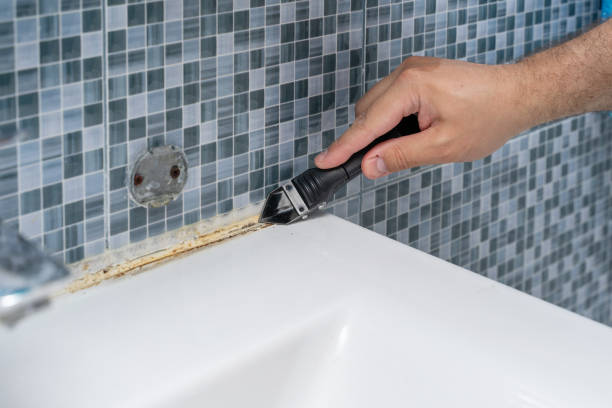 Best Residential Mold Remediation in Cashion, OK